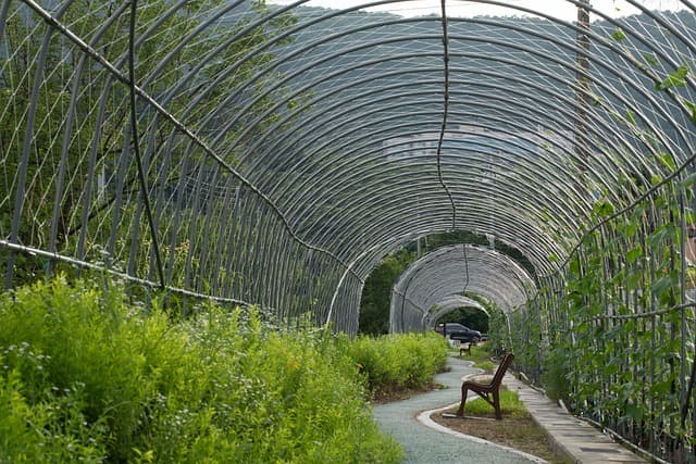 도시 정글 속 자연의 쉼터: 공터의 재활용 이야기