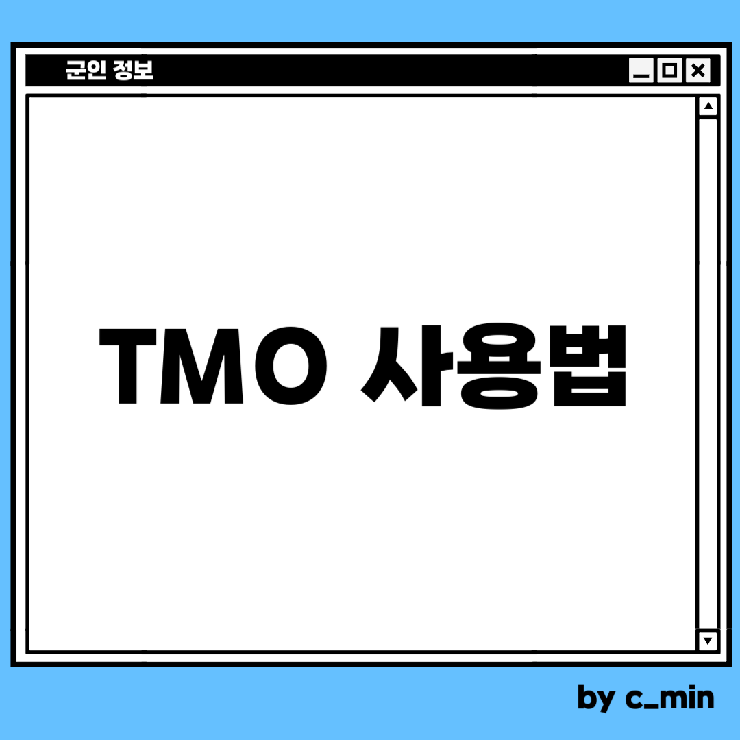 TMO 사용법. 티엠오 사용법. 누가 돈 내고 기차탑니까. 치밀한 민서님