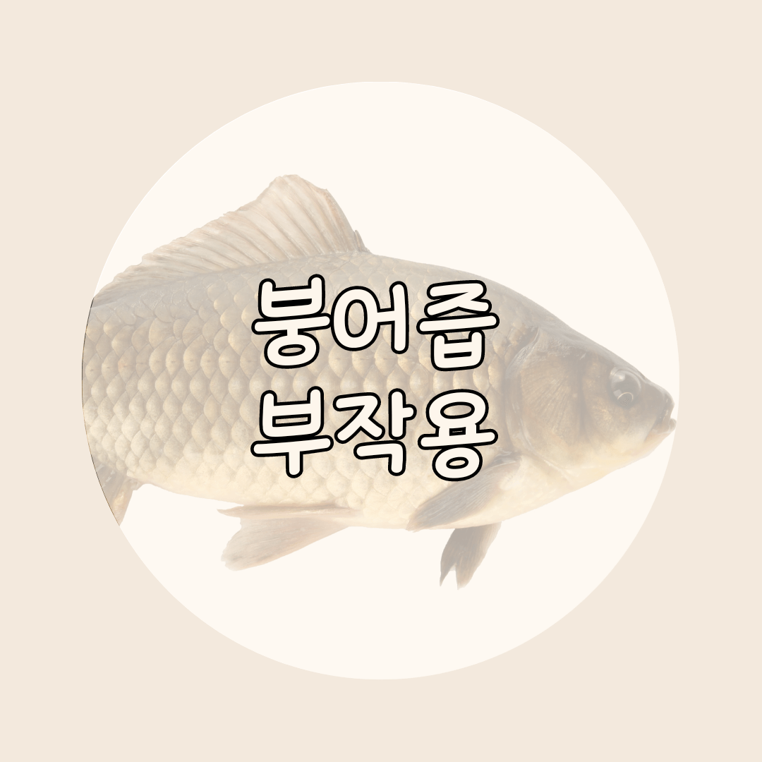 붕어즙 부작용