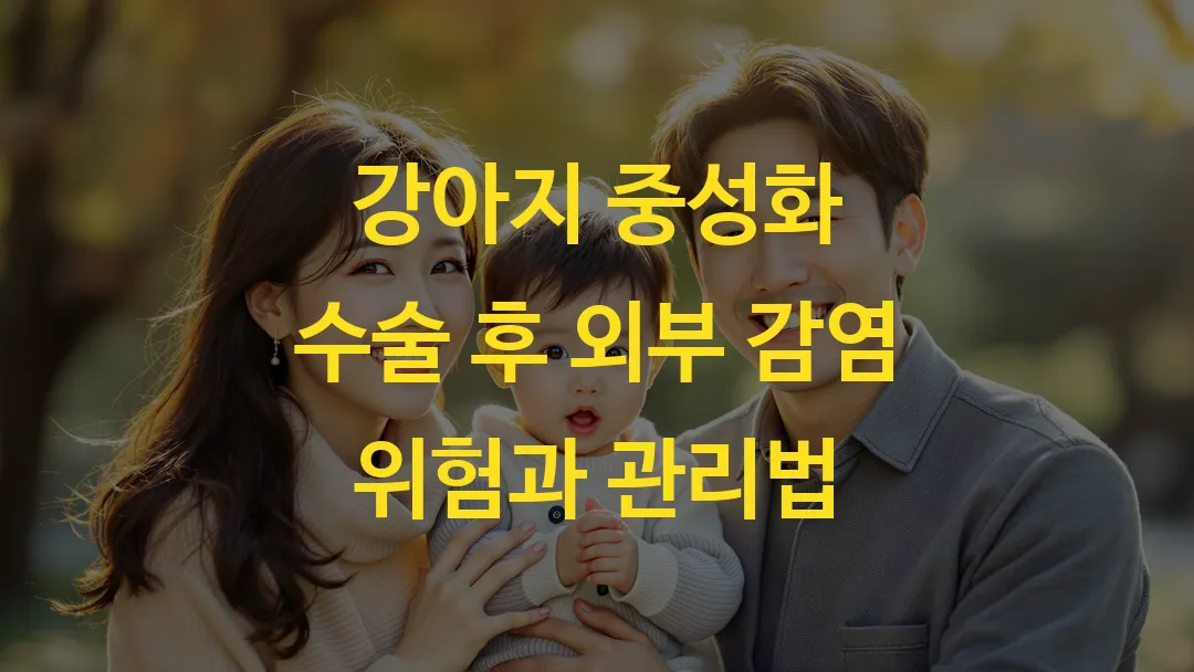 강아지 중성화 수술 후 외부 감염 위험과 관리법