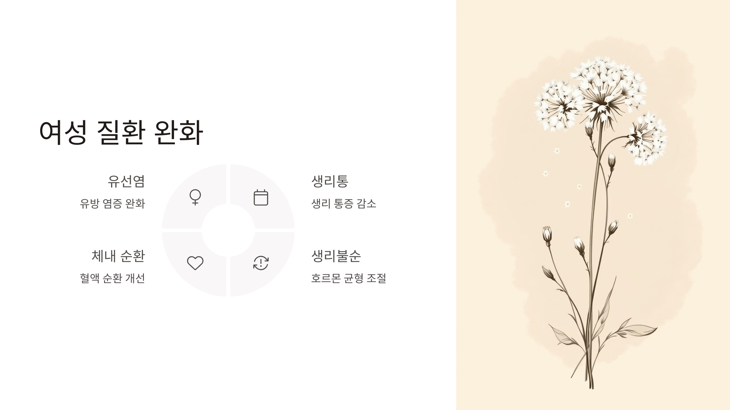 흰민들레 사진입니다.