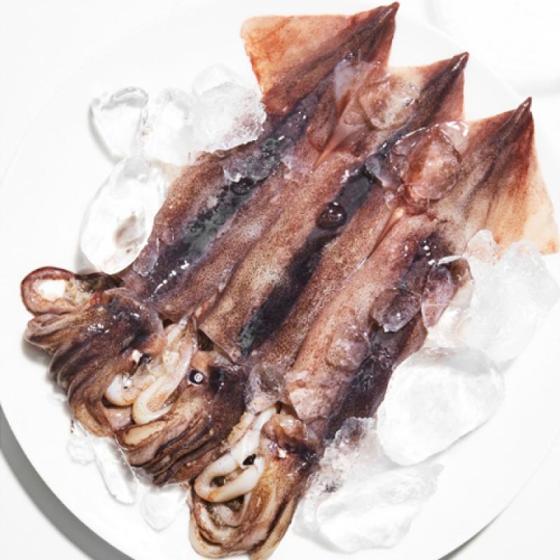 오징어 효능 및 부작용