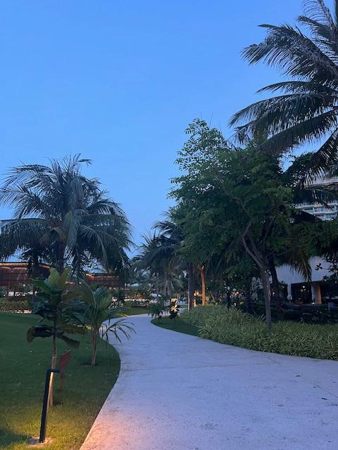 해진 후의 나트랑 알마리조트 산책로