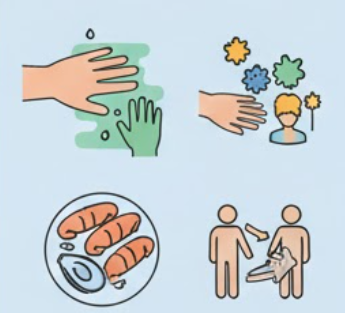 노로바이러스 증상