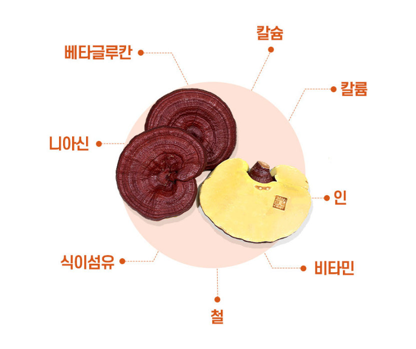 일월종가