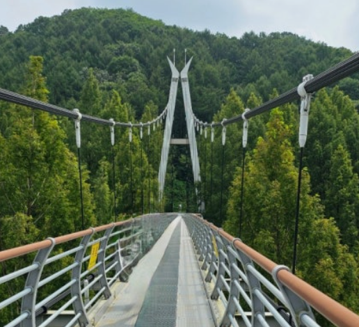 대전 장태산 자연휴양림 출렁다리
