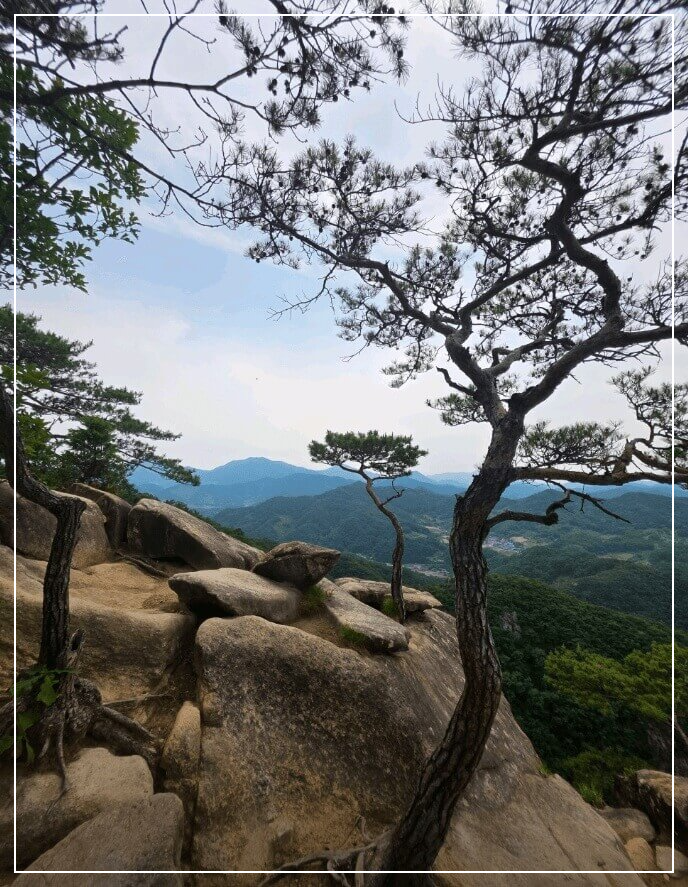단양 가볼만한곳 베스트10 제비봉