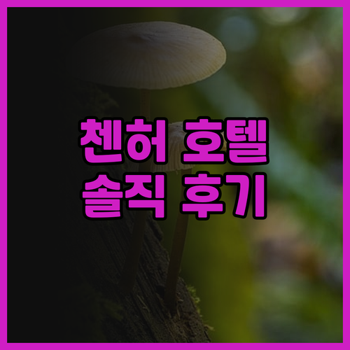 가성비 최고! 첸허 지촨 가오공 호텔
