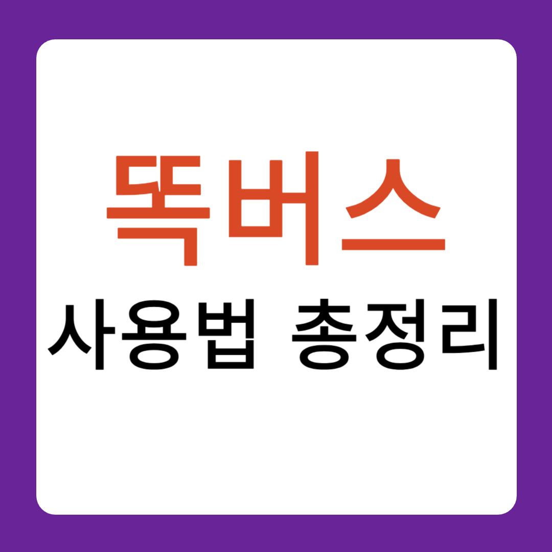 똑버스 사용법 총정리