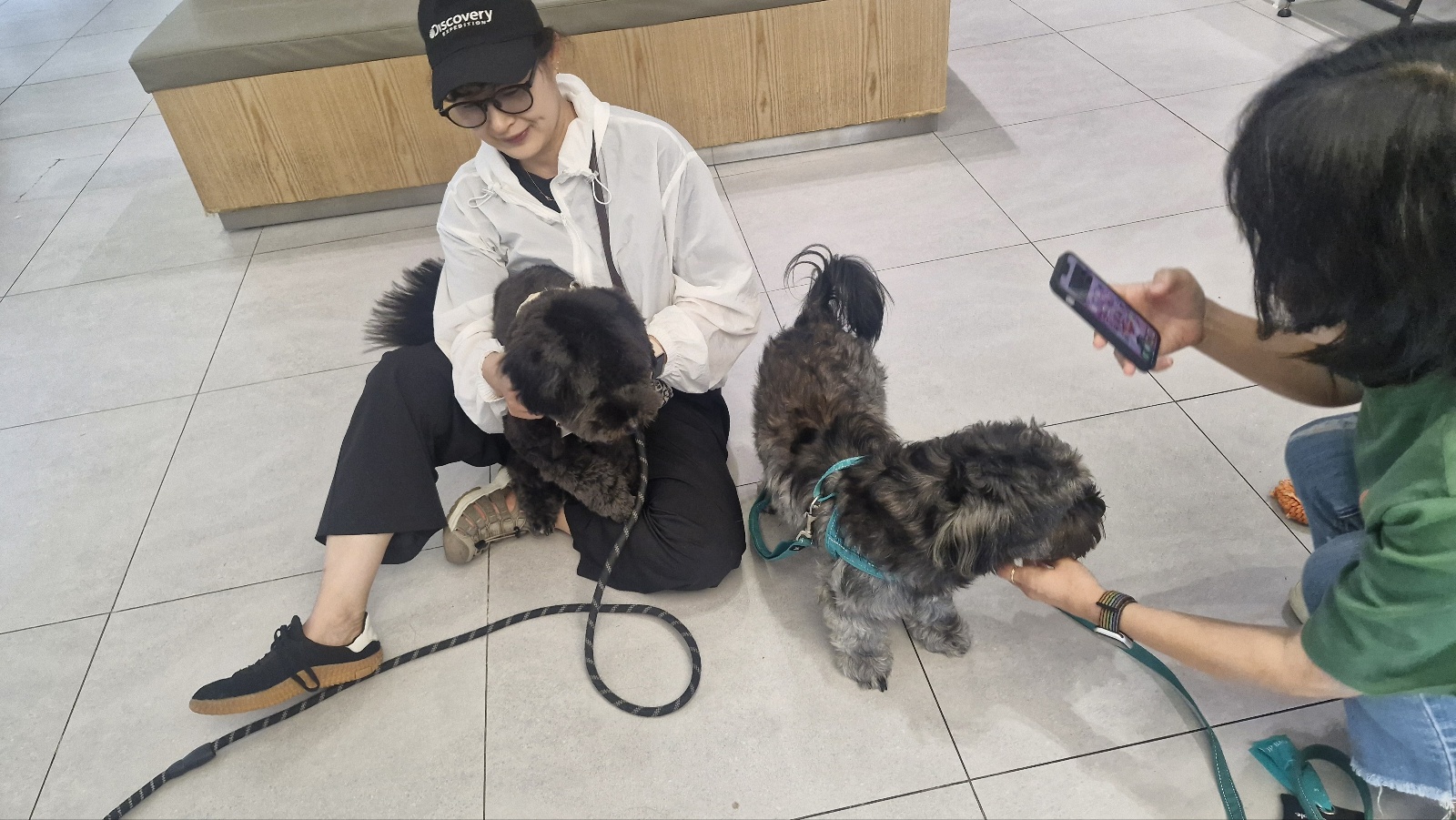 강아지 장 건강과 오리근위 (소화촉진, 유산균 도움)