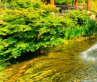 화담숲 예약 방법부터 운영시간까지! 방문 전 꼭 알아야 할 정보