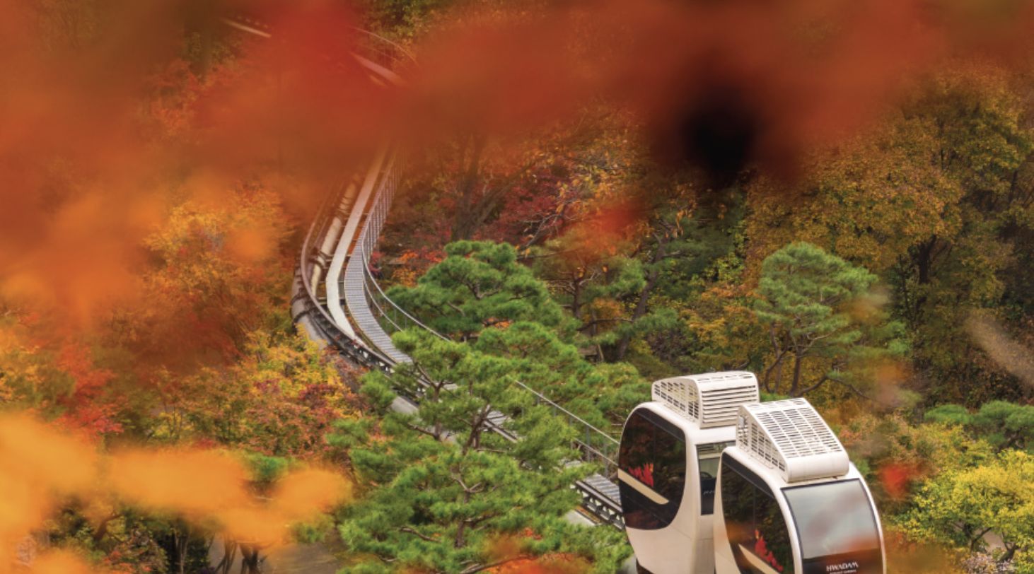 화담숲 단풍 절정 시기