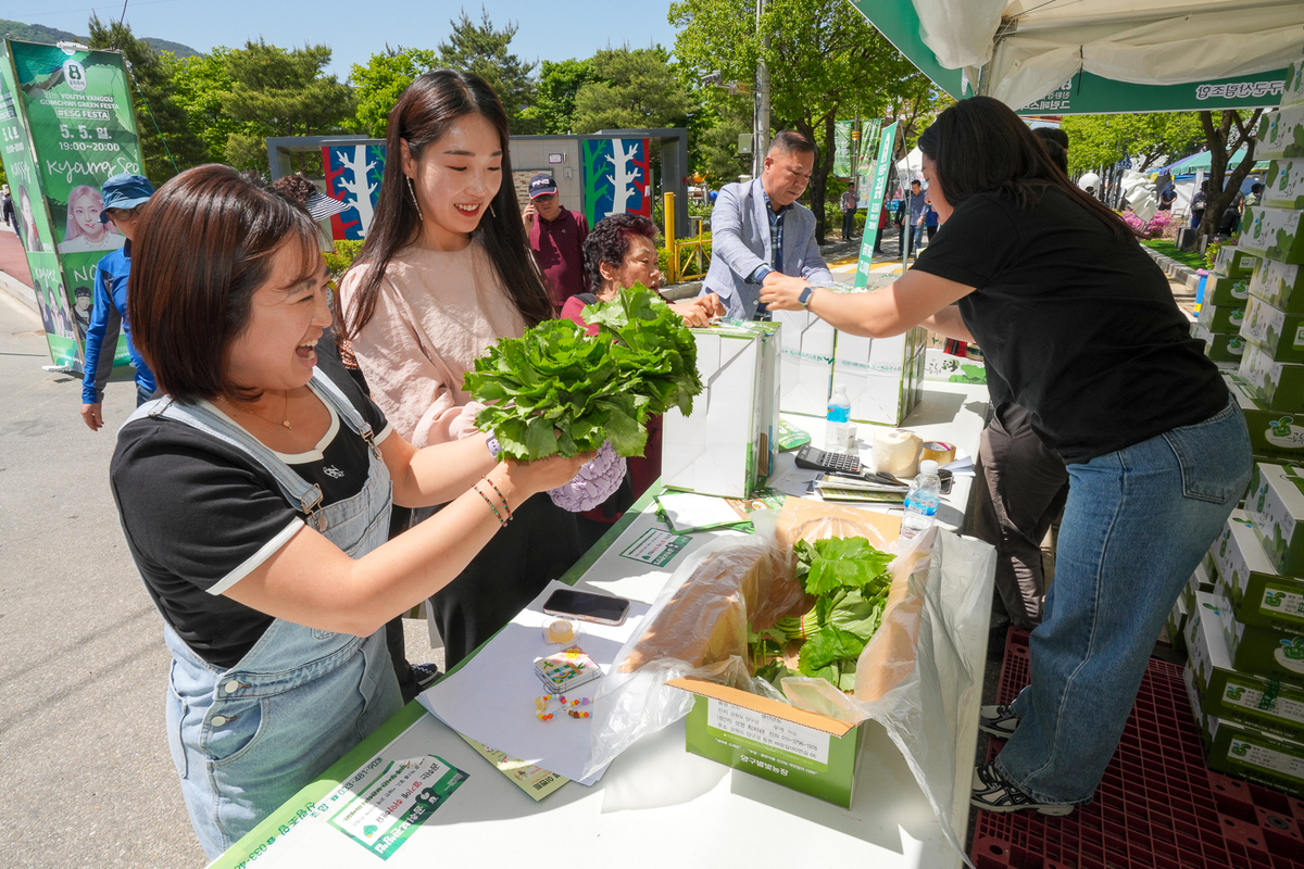 강원도 여행 나들이 4월 5월 봄축제 TOP 05 리스트 가볼만한곳