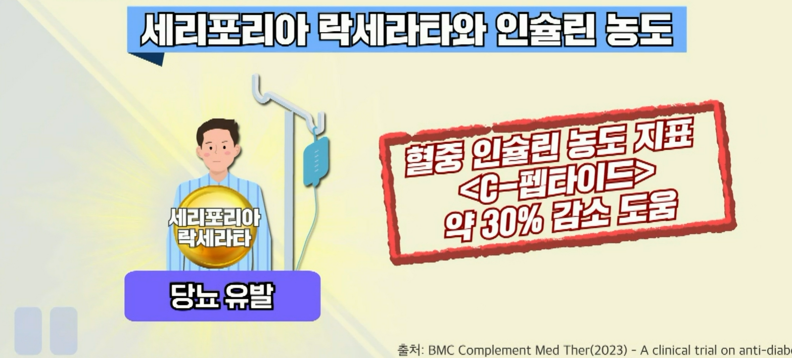 세리포리아 락세라타 효능