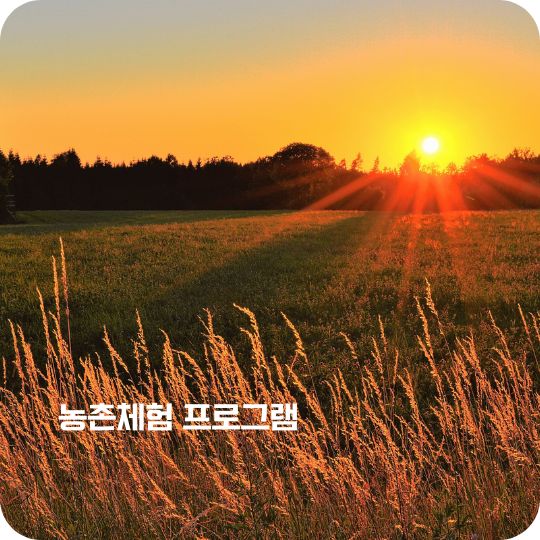 농촌체험 프로그램 선착순 예약하기