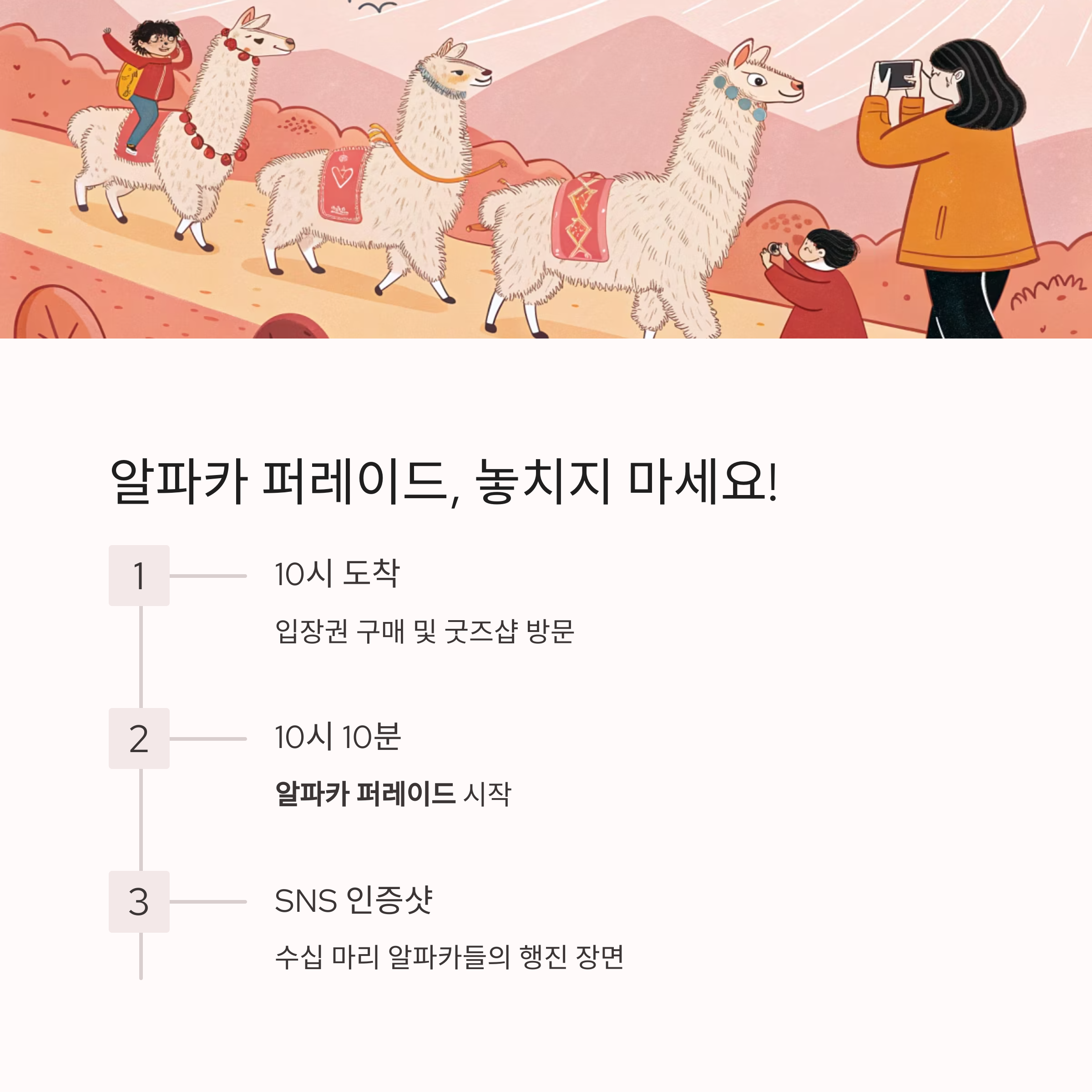 강원도 홍천 알파카월드