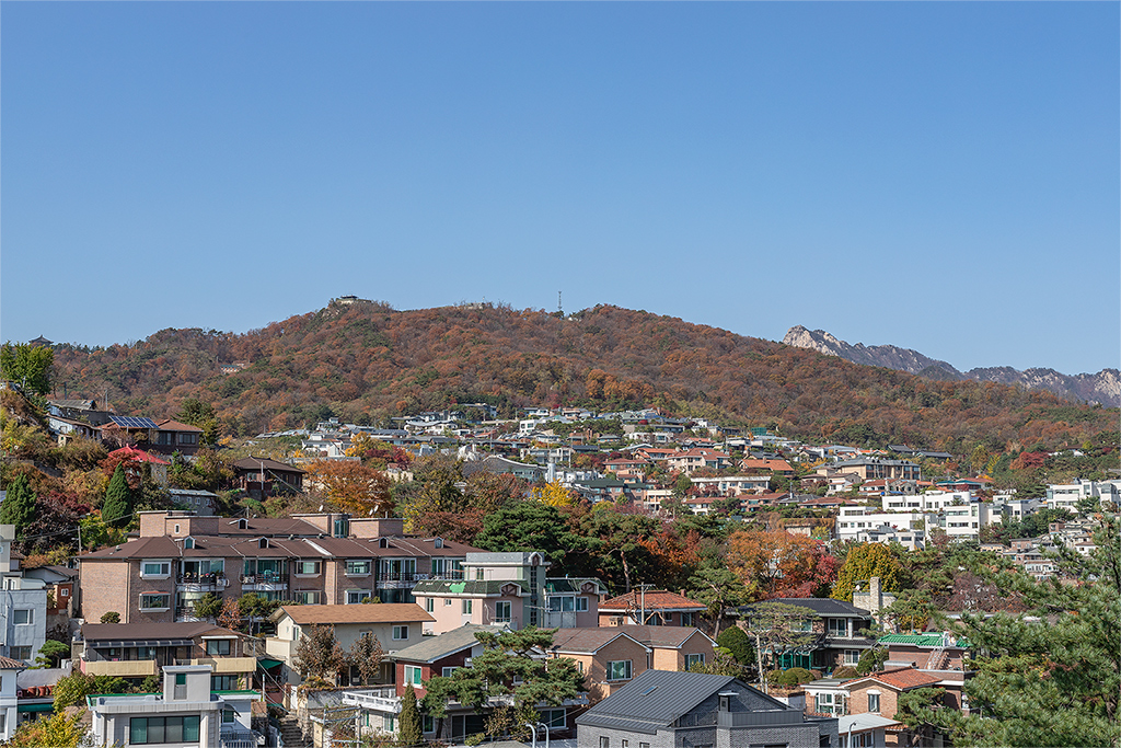 혜화문
성북동
한양도성길
백악구간
서울여행
서울단풍
가을단풍
단풍