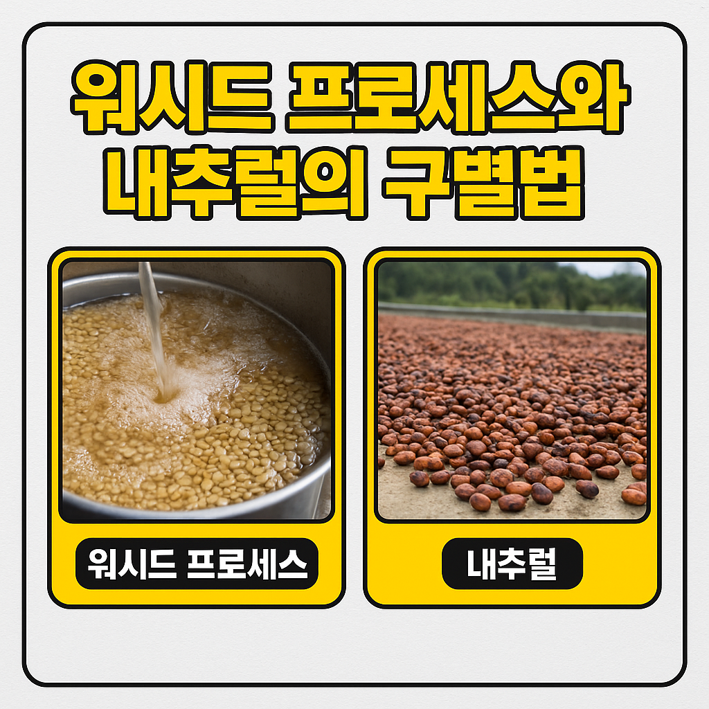 워시드 프로세스와 내추럴의 구별법