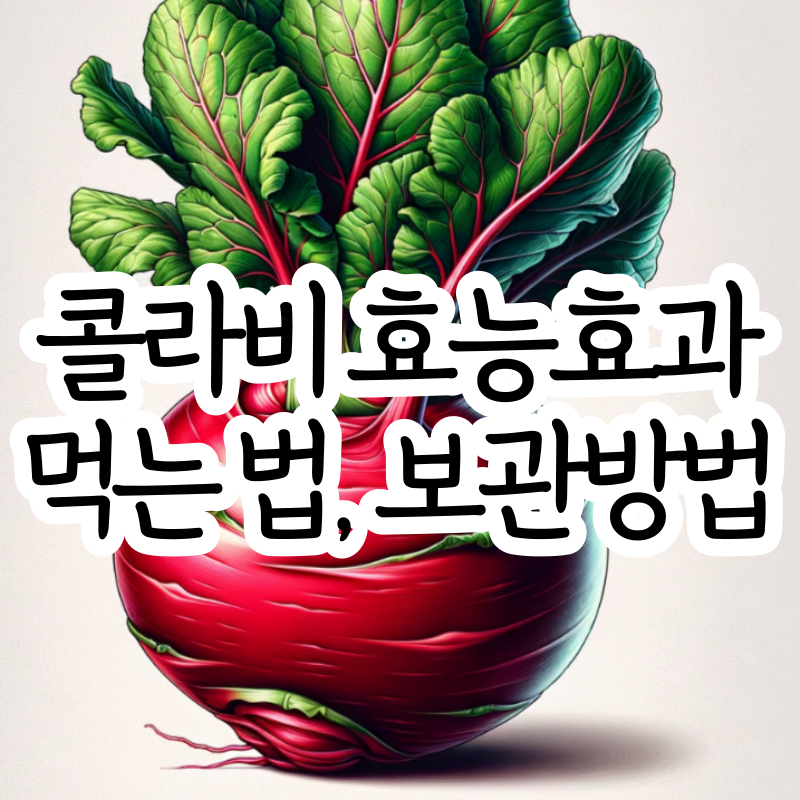 콜라비 효능 먹는 법 콜라비 보관법