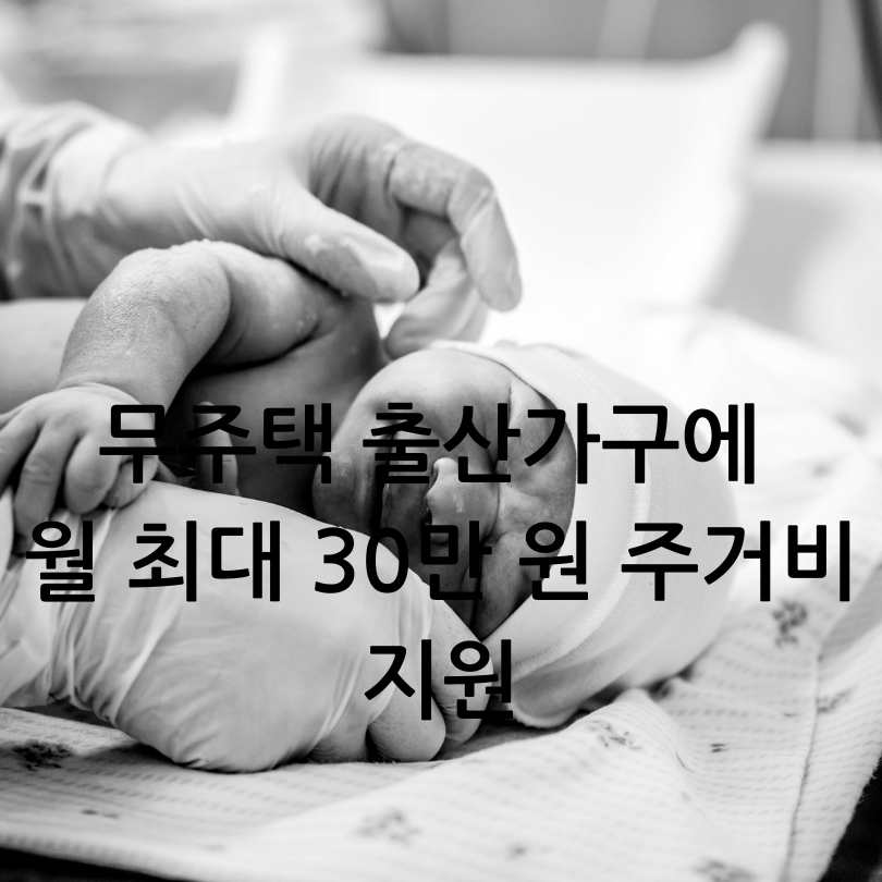 무주택 출산가구 주거비지원