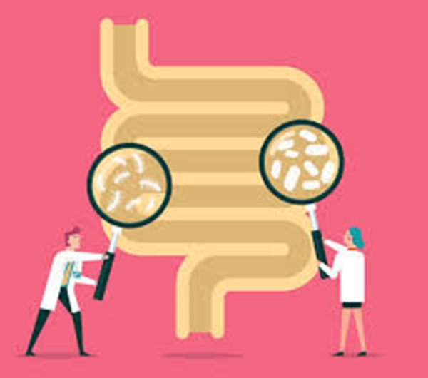 방귀가 많이 나오는 이유