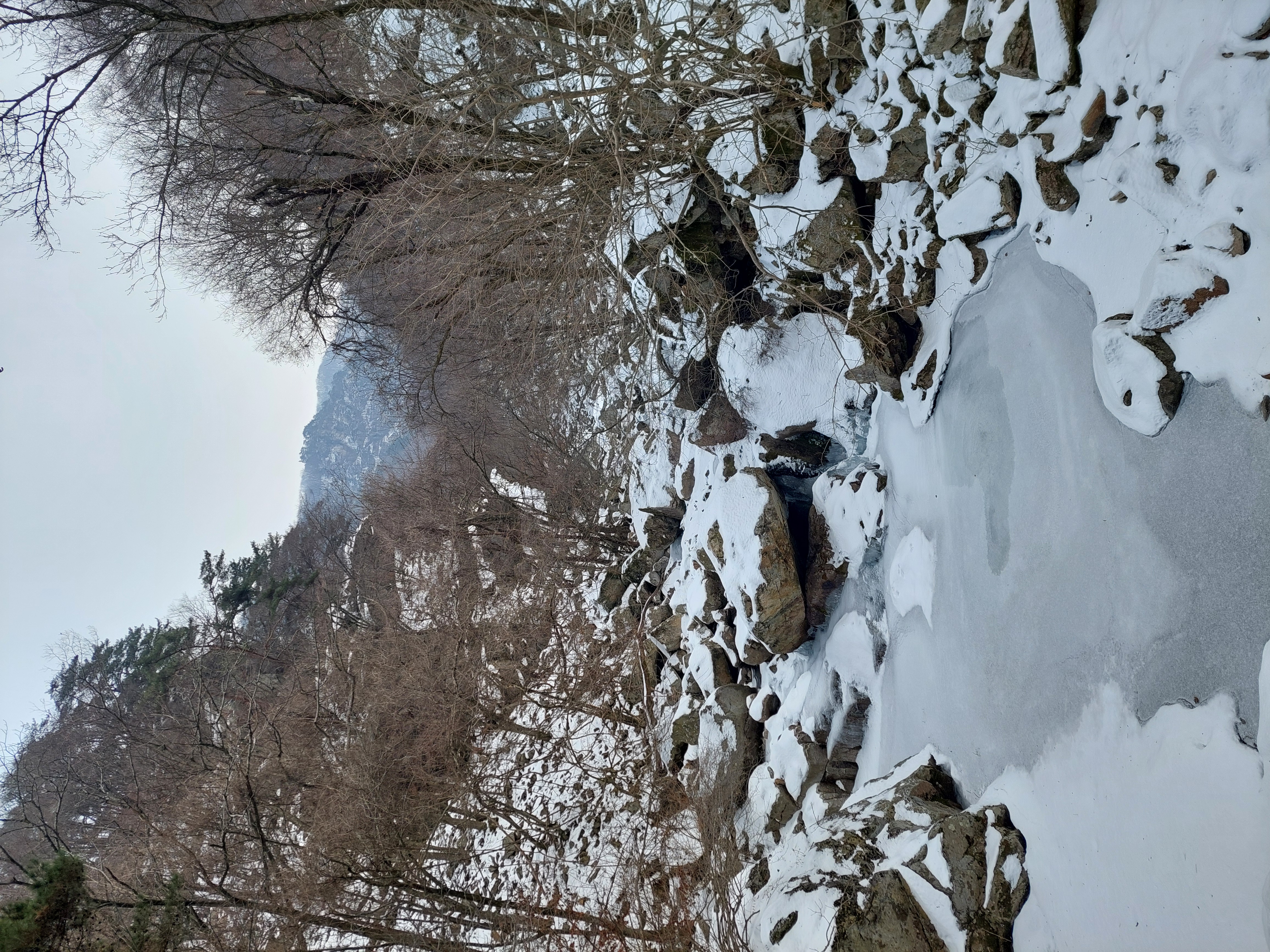유명산