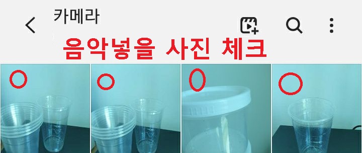 사진들 보임