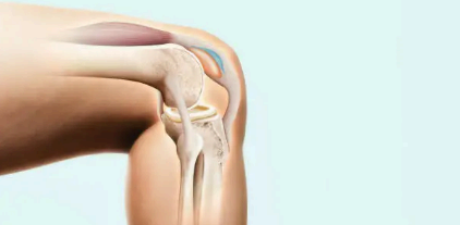 콘드로이친 1200mg