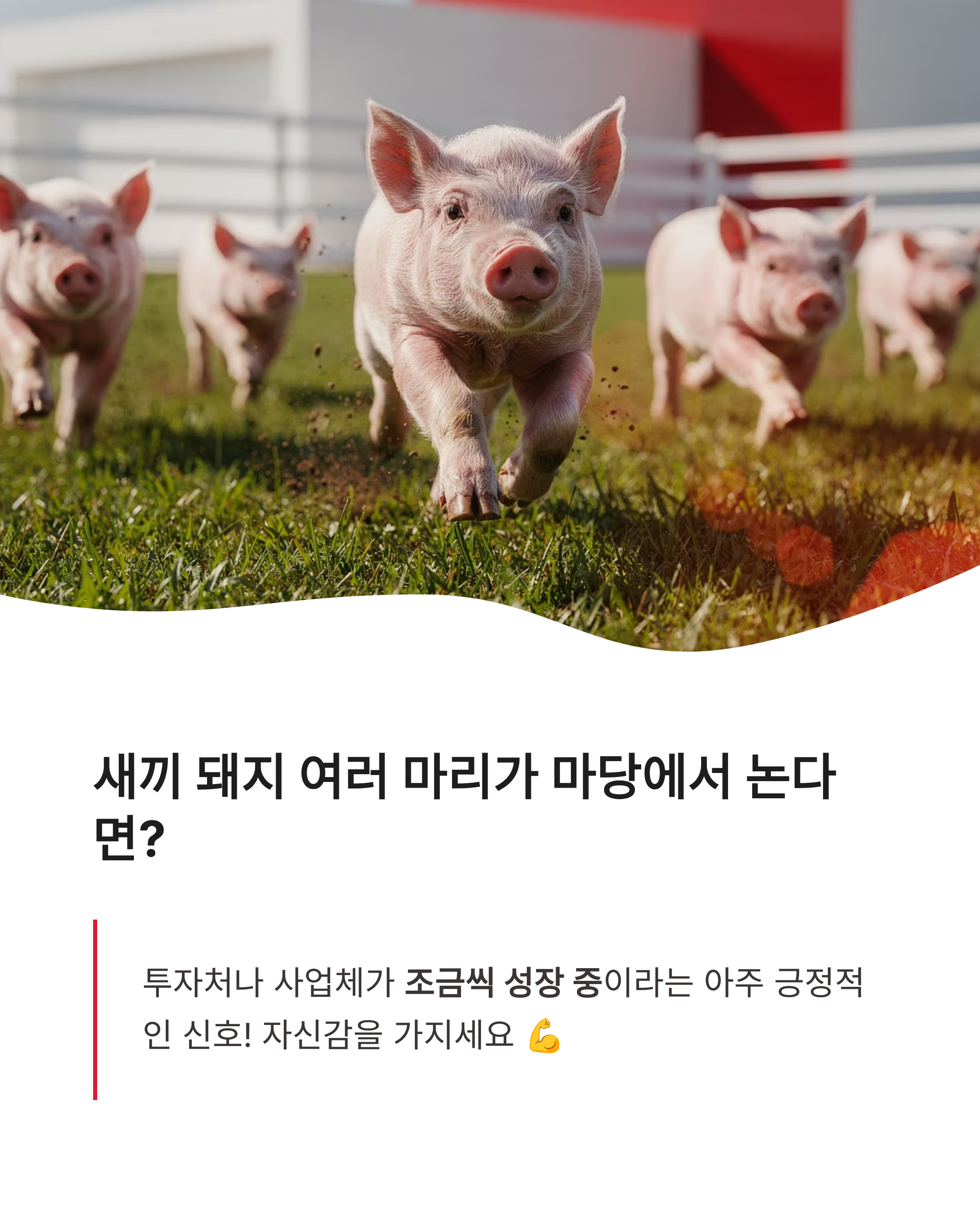 돼지 꿈 해몽 ❘ 새끼 돼지 똥 묻은 돼지 복권 당첨까지? 재물운 폭발하는 징조 총정리!
