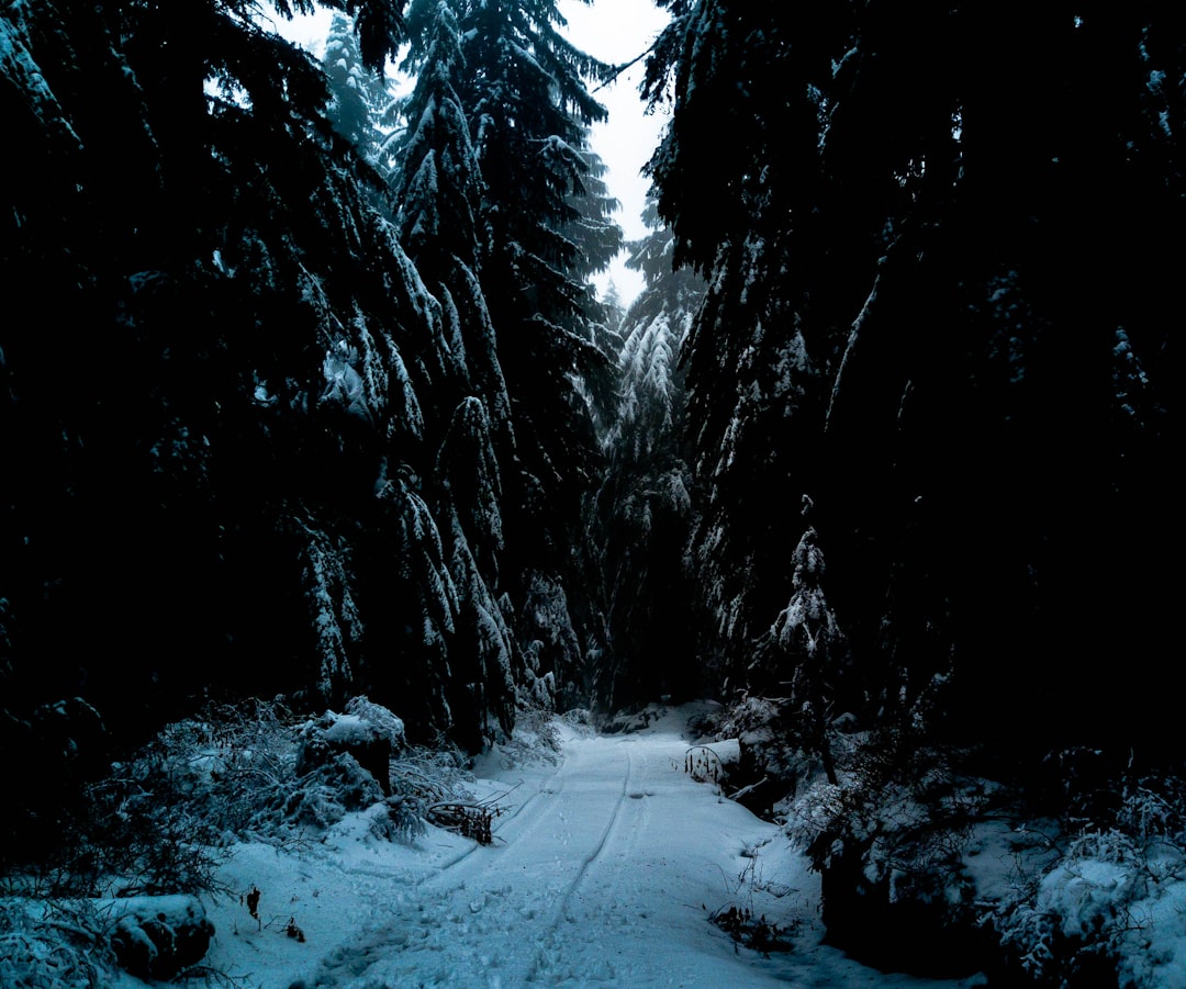Trail.