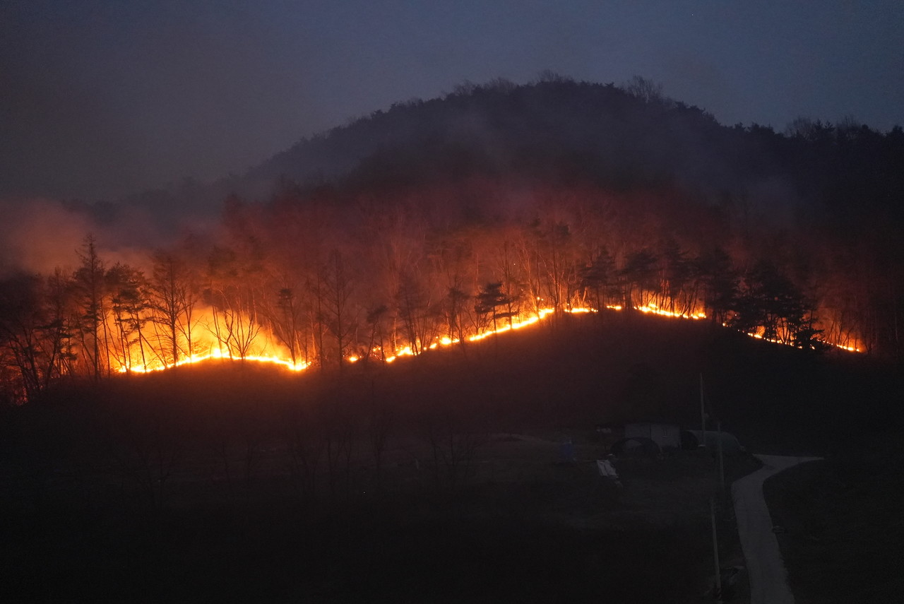 대형 산불 피해