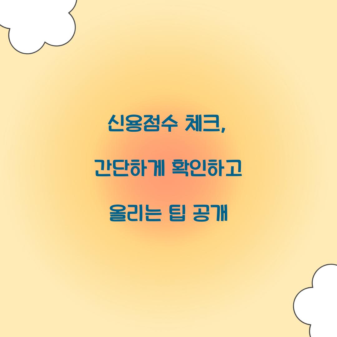 신용점수 체크