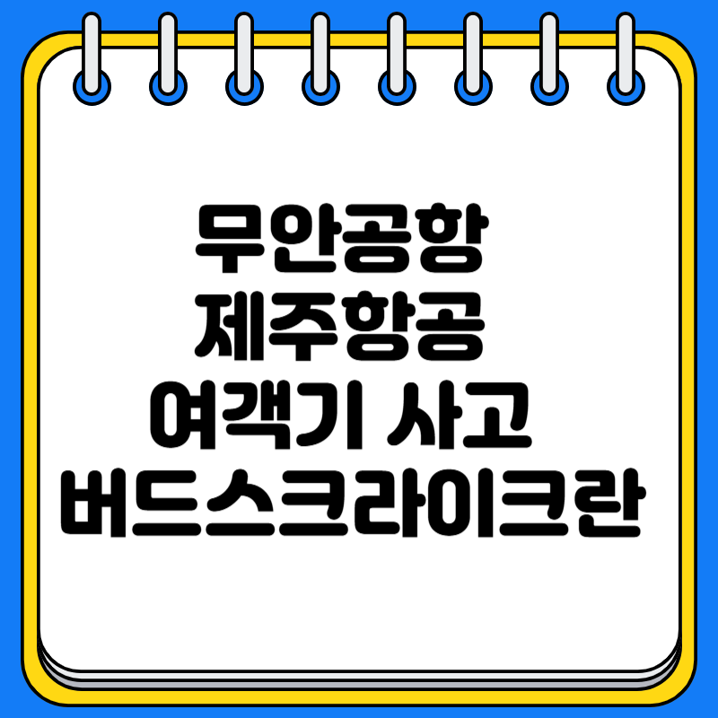 무안공항 제주항공 여객기 사고 버드스크라이크 뜻