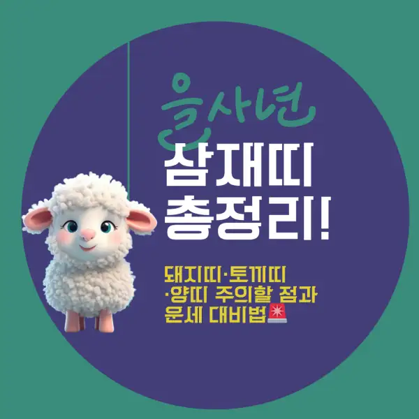 2025년 삼재띠 총정리!