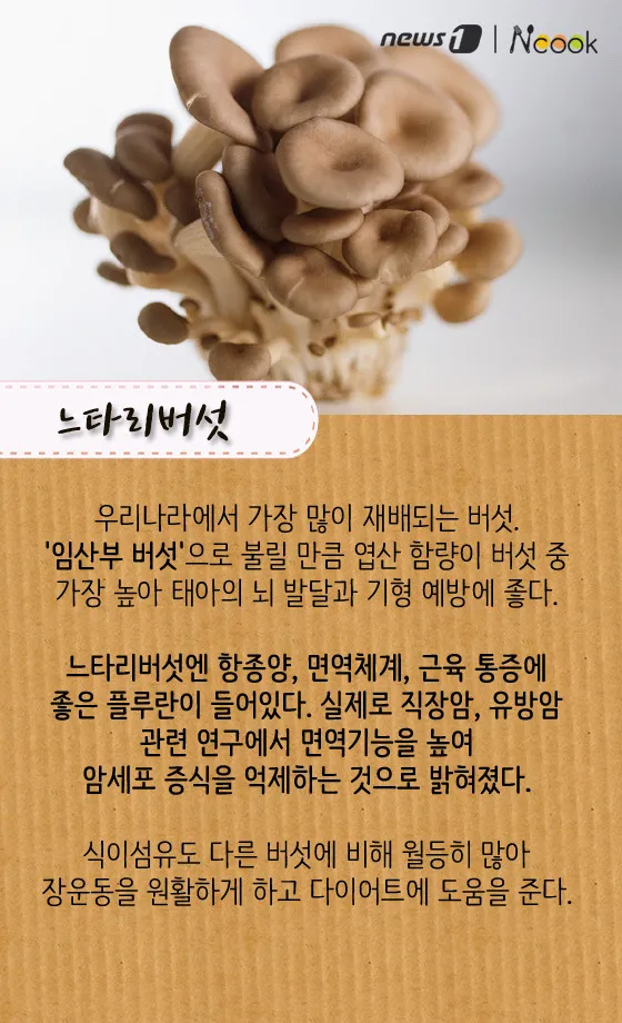 팽이버섯 효능_9