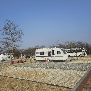 목계솔반캠핑장_대형사이트