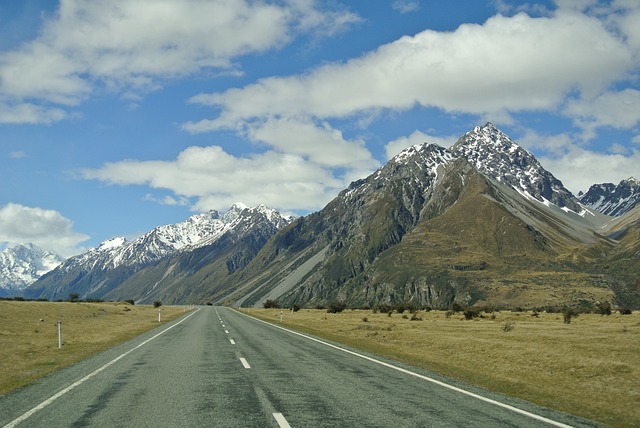 자동차 운전면허 1종 70세 이상 적성검사 2종 면허갱신 방법2
