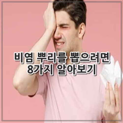 비염 뿌리를 뽑으려면 8가지 알아보기