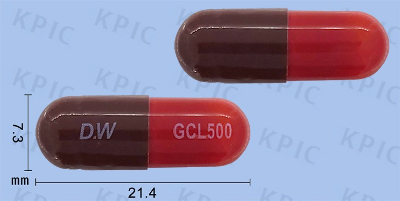 곰실린캡슐 : 그 모든 것에 대해 알아보자