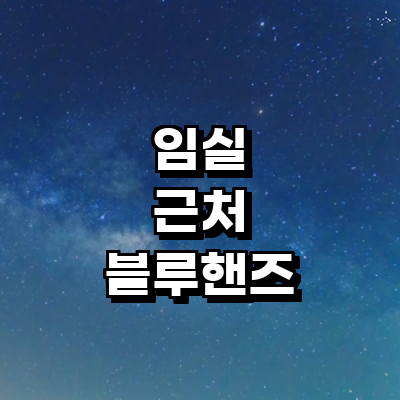 임실군 블루핸즈