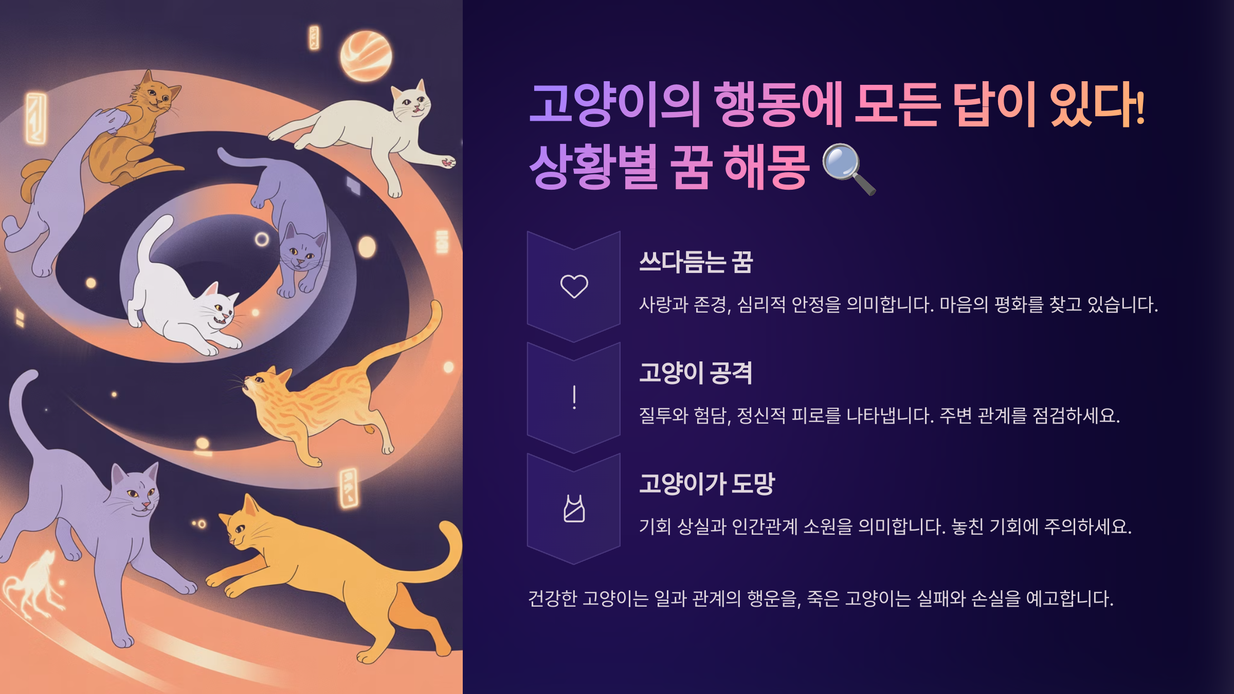 고양이의 행동에 모든 답이 있다! 상황별 꿈 해몽 🔍