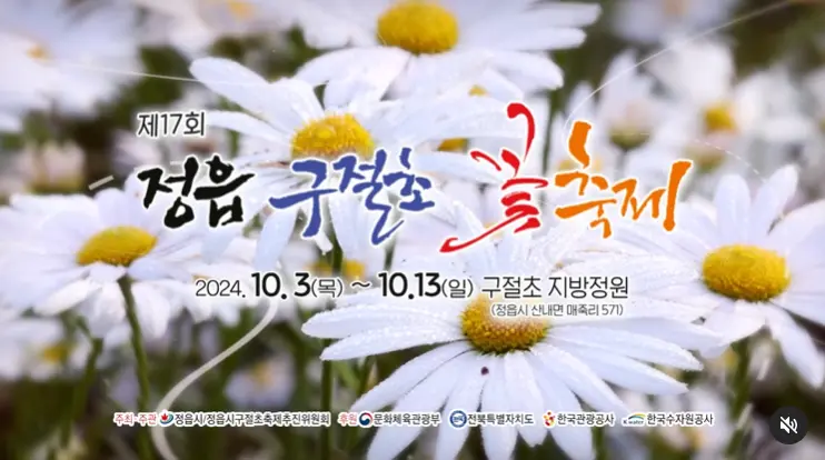 2024 정읍 구절초 꽃축제 초대가수 교통편