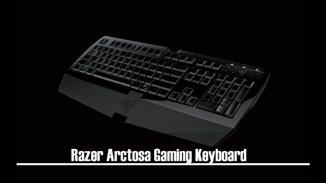 Razer Arctosa