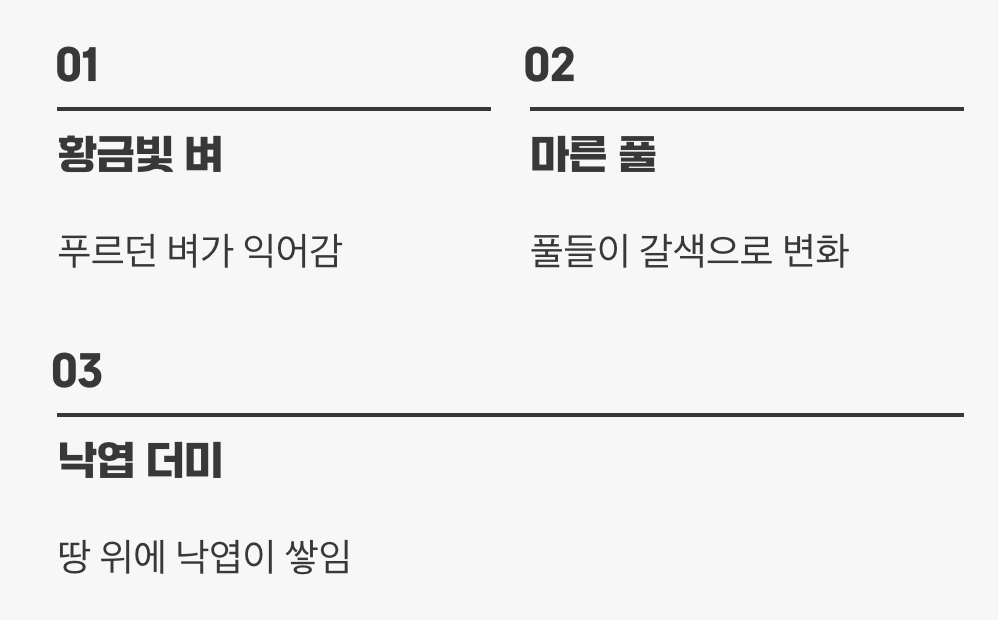 갈색 옷으로 갈아입는 비밀