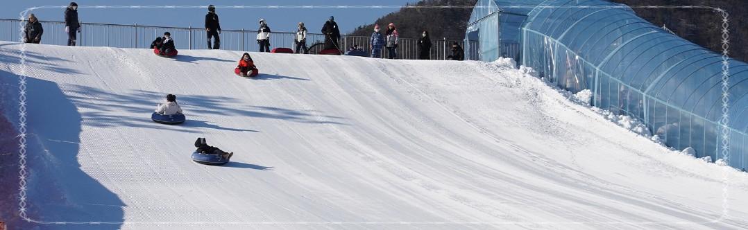 단 한 달뿐인 2026 평창송어축제, 2월 9일 끝나기 전에 꼭 가야 하는 이유