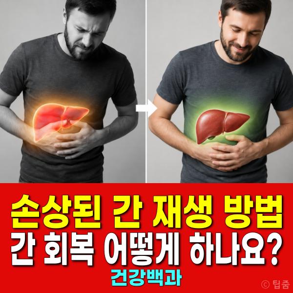 간 재생 방법 간회복