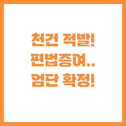 부동산 위법거래 1002건 적발 편법..