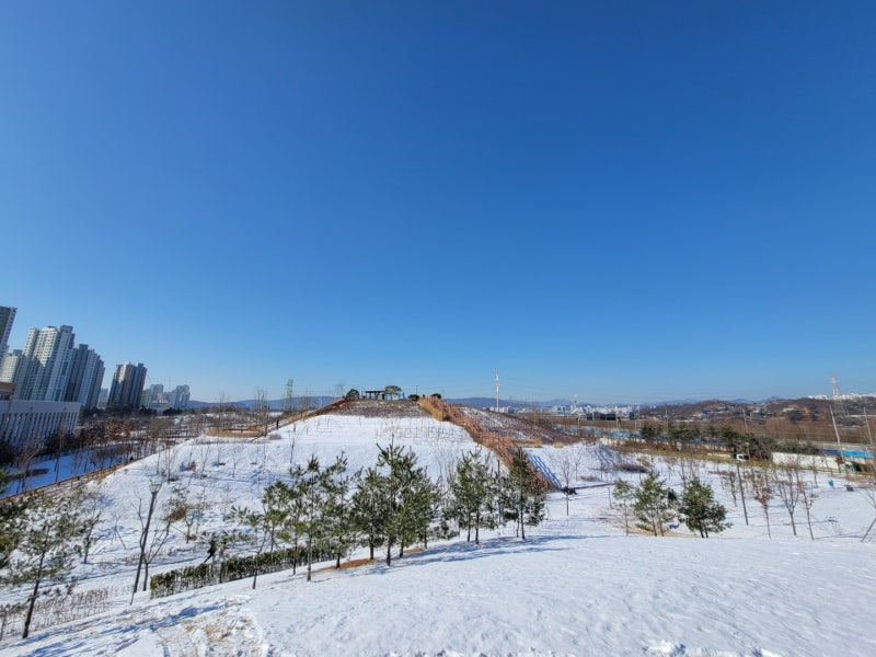 하남 반려견 겨울 나들이 명소, 강아지와 함께 산책하기 좋은 곳 추천