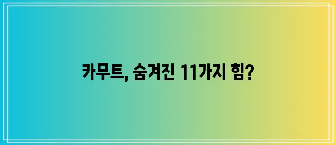 카무트 효능 11가지 핵심 정보 확실하게 알아보기!