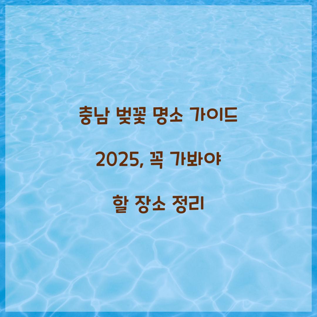 충남 벚꽃 명소